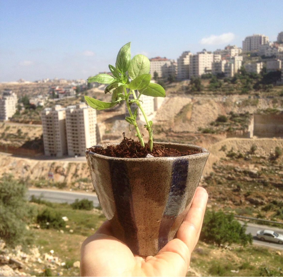 Make your Dream Plant Pot! (2 day workshop)